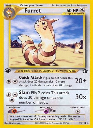 Furret (35) 1st Edition - Neo Genesis