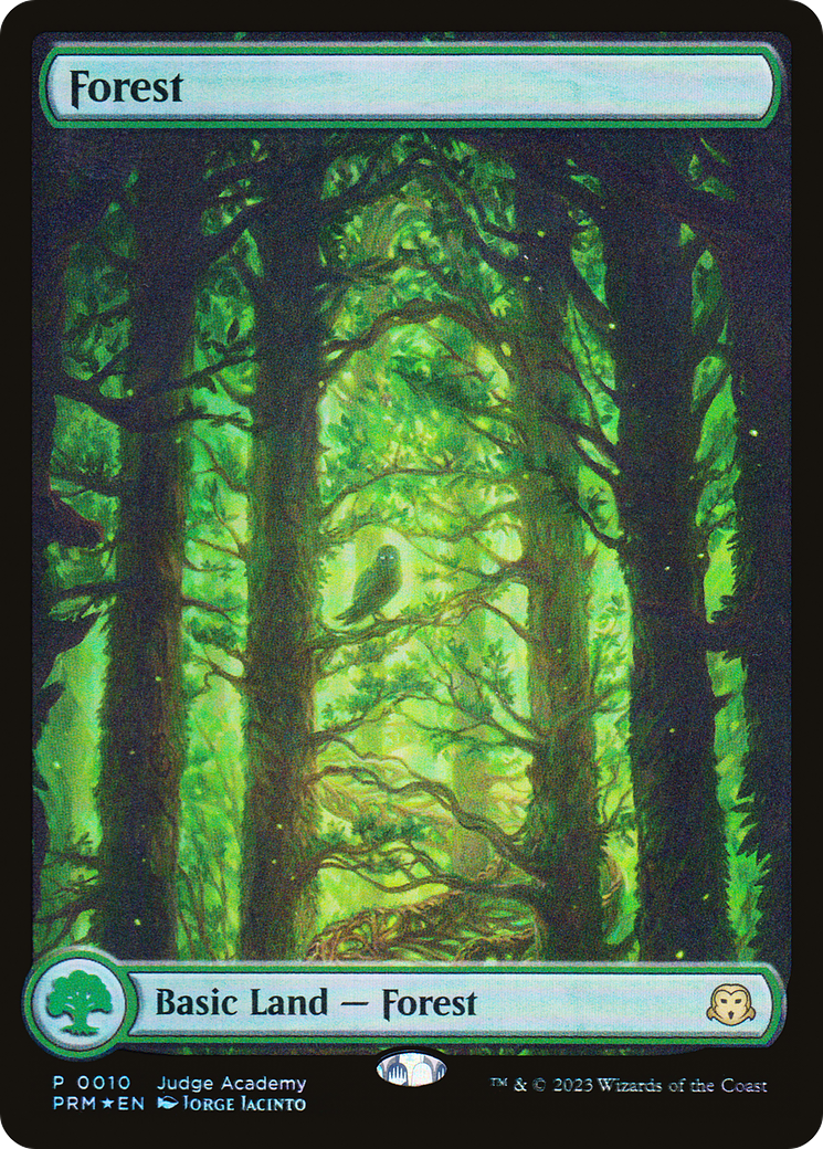 Forest (010) Foil - Judge Gift Cards 2023
