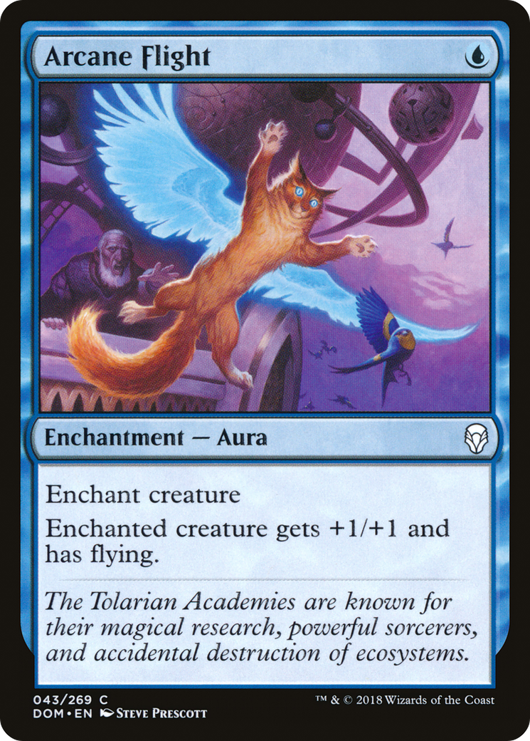 Arcane Flight [Dominaria] Foil