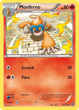 Monferno (19/114) [XY: Steam Siege] | Silver Goblin