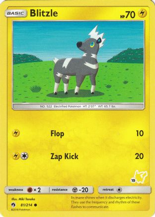 Blitzle (#19 Pikachu) (81) - Battle Academy