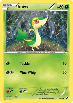 Snivy (1/114) (Cosmos Holo) [Black & White: Base Set] | Silver Goblin