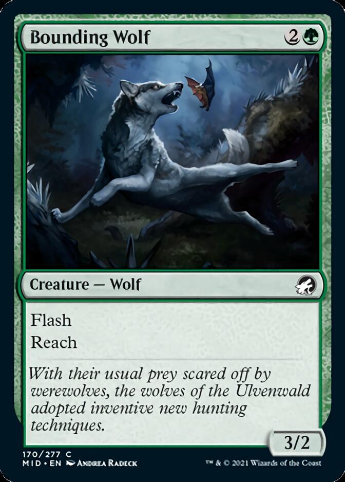 Bounding Wolf [Innistrad: Midnight Hunt] | Silver Goblin