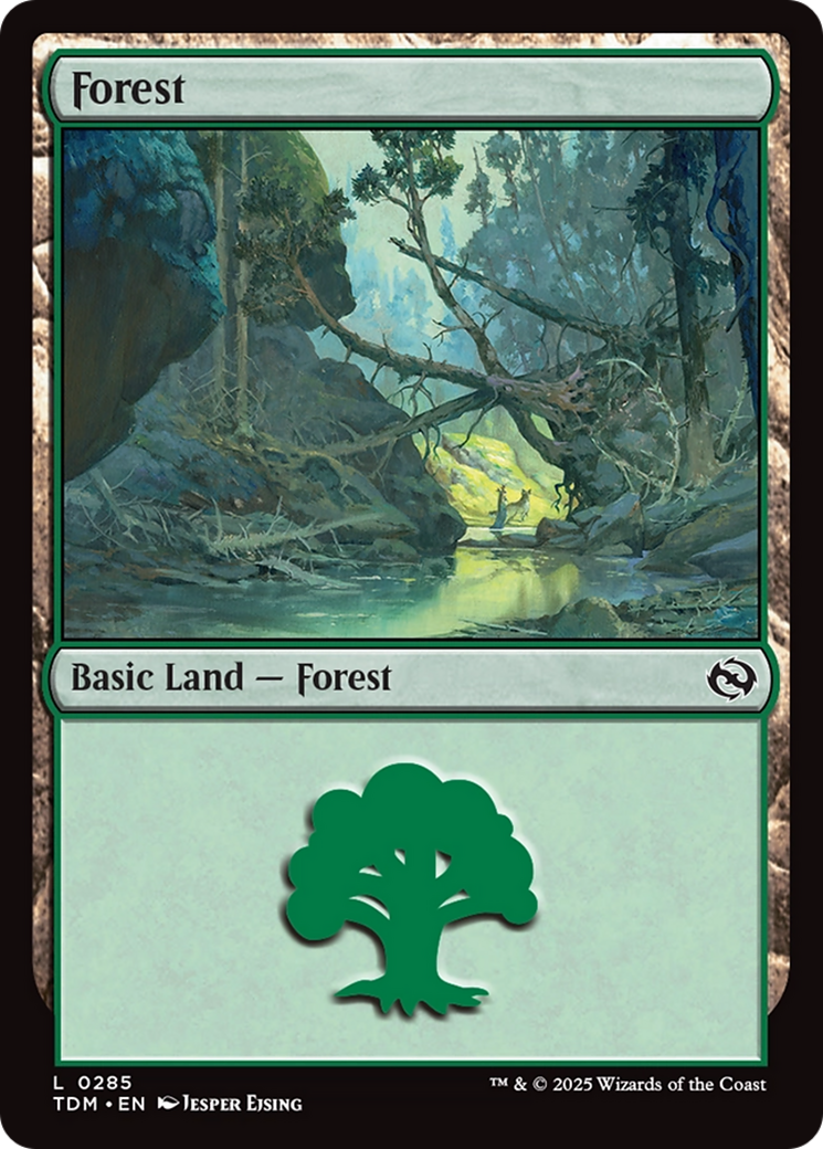 Forest (285) - Tarkir: Dragonstorm