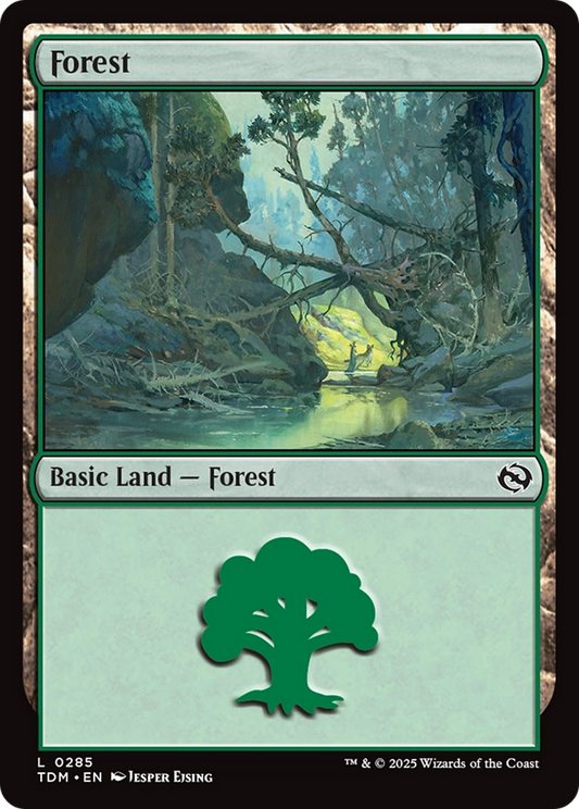 Forest (285) - Tarkir: Dragonstorm
