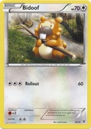 Bidoof (29/39) [XY: Kalos Starter Set] | Silver Goblin