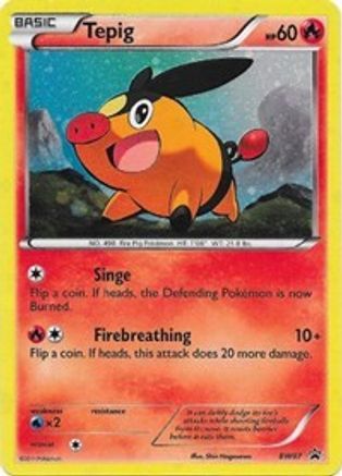 Tepig (BW07) [Black & White: Black Star Promos] | Silver Goblin