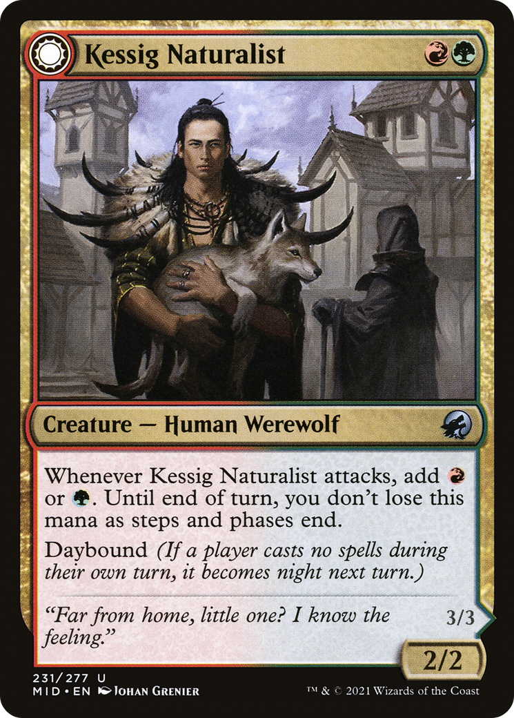 Kessig Naturalist // Lord of the Ulvenwald [Innistrad: Midnight Hunt]