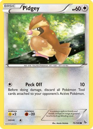 Pidgey (75/106) [XY: Flashfire] | Silver Goblin