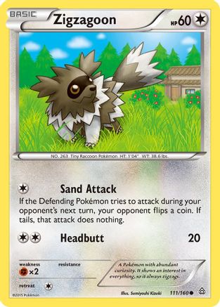 Zigzagoon (111/160) [XY: Primal Clash] | Silver Goblin