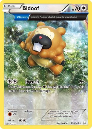 Bidoof (117/160) [XY: Primal Clash] | Silver Goblin