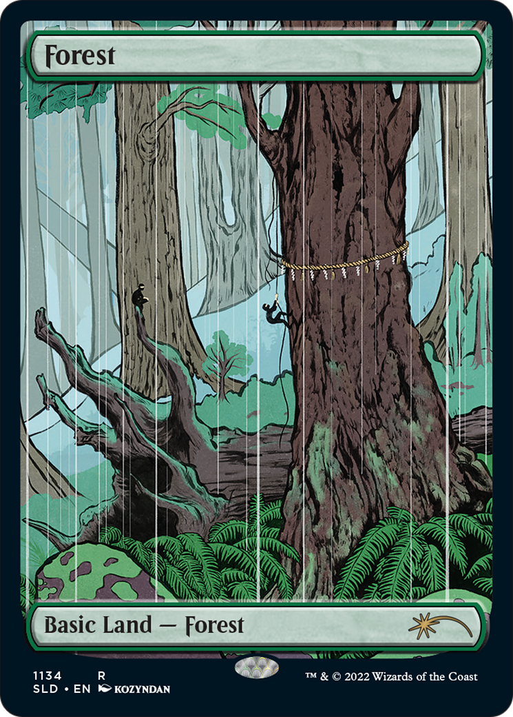 Forest (1134) (Full-Art) [Secret Lair Drop Series] | Silver Goblin