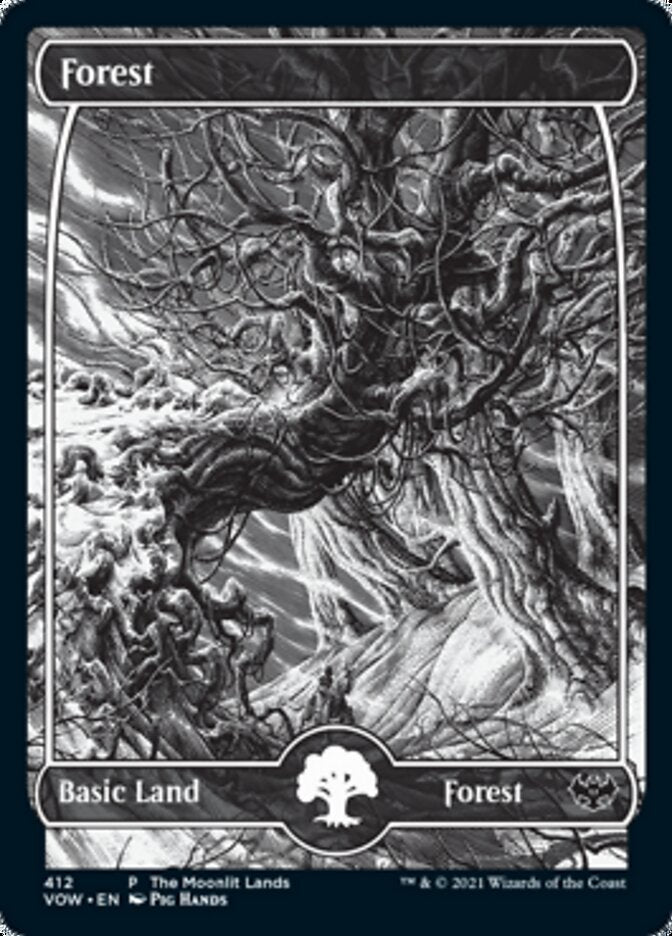 Forest (The Moonlit Lands) (Foil Etched) [Innistrad: Crimson Vow Promos] | Silver Goblin