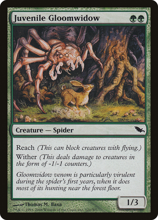 Juvenile Gloomwidow [Shadowmoor]