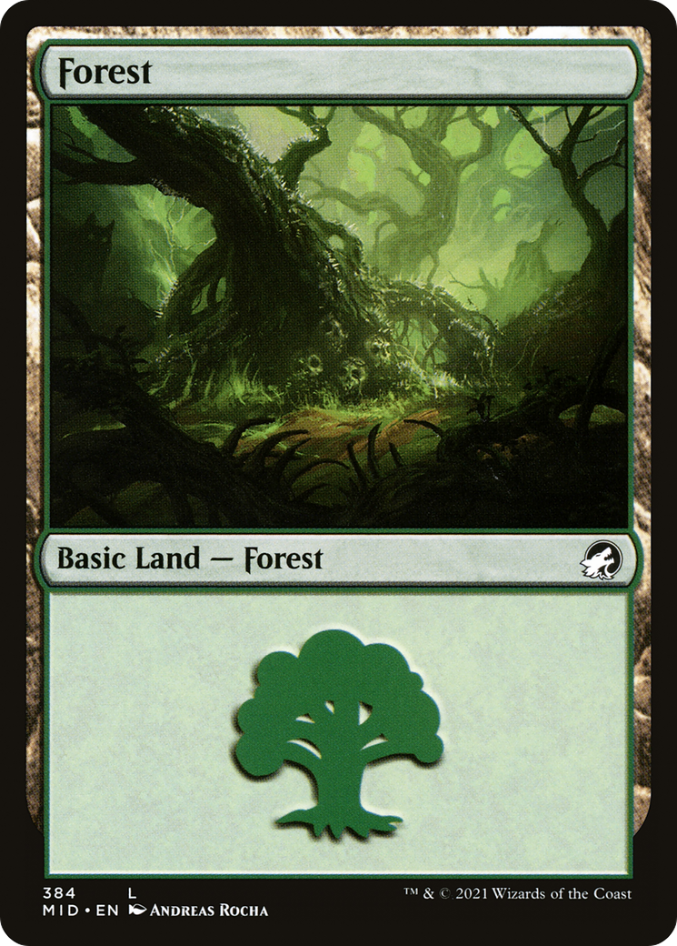 Forest (384) [Innistrad: Midnight Hunt] | Silver Goblin