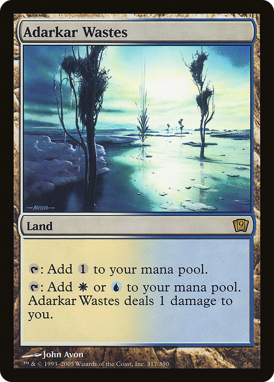 Adarkar Wastes (317★) Foil - Ninth Edition