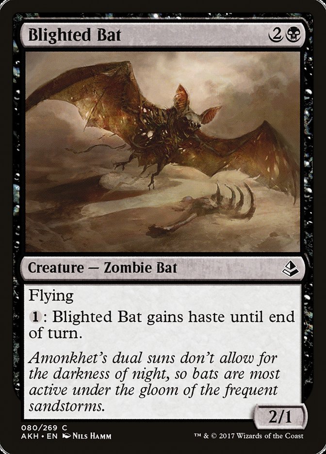 Blighted Bat [Amonkhet] | Silver Goblin