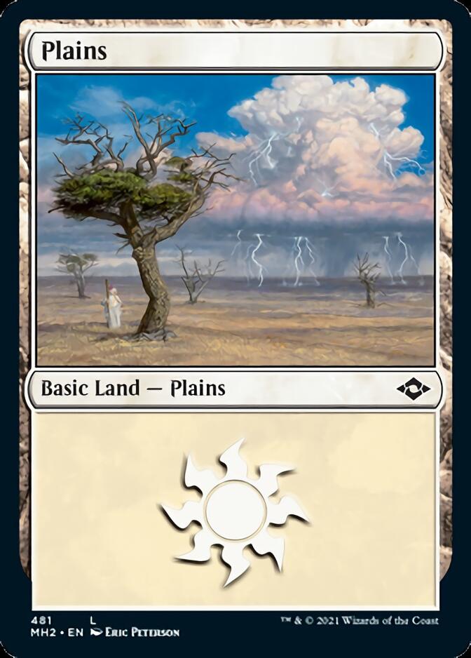 Plains (481) (Foil Etched) [Modern Horizons 2] | Silver Goblin