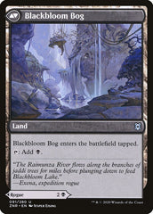 Blackbloom Rogue // Blackbloom Bog [Zendikar Rising] | Silver Goblin