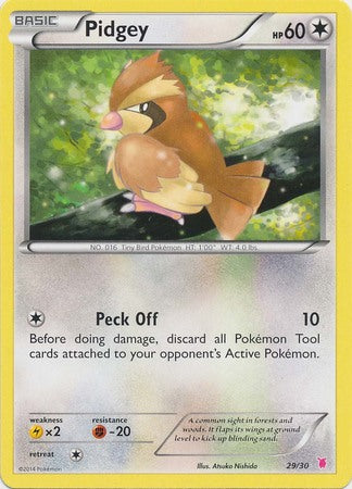 Pidgey (29/30) [XY: Trainer Kit 1 - Wigglytuff] | Silver Goblin