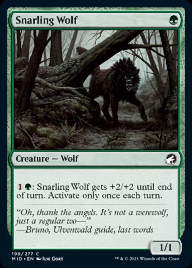Snarling Wolf [Innistrad: Midnight Hunt] | Silver Goblin