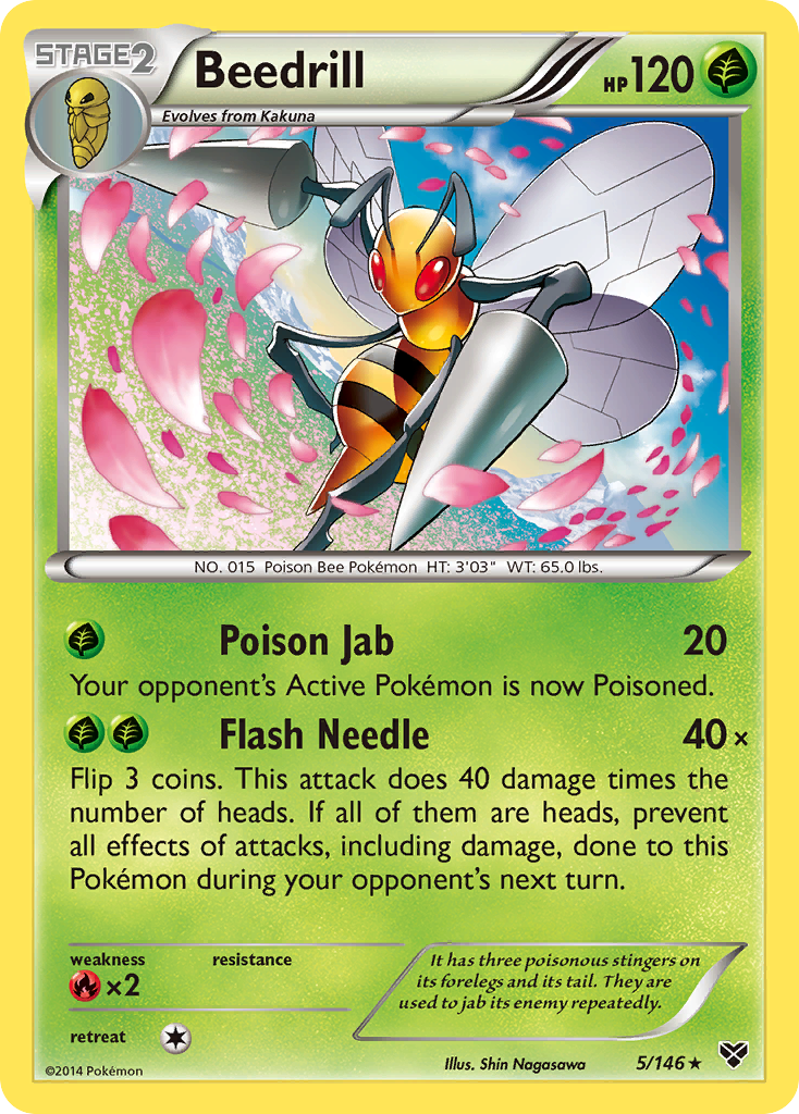 Beedrill (5/146) [XY: Base Set] | Silver Goblin